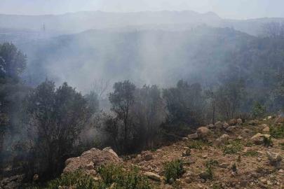 Samandağ’da ormanlık alanda çıkan yangın kısa sürede kontrol altına alındı