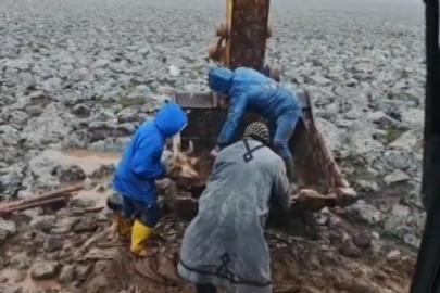 Şanlıurfa’da çamura saplanan inek kepçe yardımıyla kurtarıldı