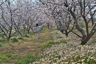 Sarıgöl’de kartpostallık manzara