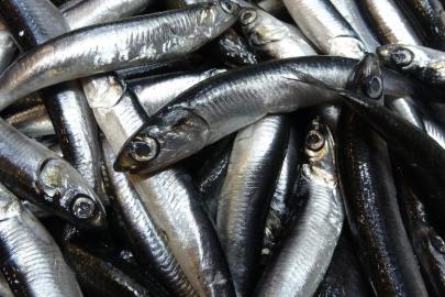 Savaş halindeki ülke ihracatta ilk sırayı aldı