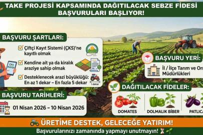 Siirt Tarım ve Orman Müdürlüğünden sebze fidesi başvurusu uyarısı