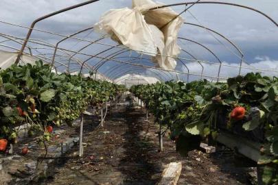 Silifke’de hortum seraları yerle bir etti