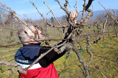 Simav’da yem bitkileri ve hububat ekili alanlarda verim çalışması yapıldı