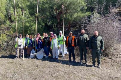 Sinop ormanlarında zararlılara karşı biyolojik savaş