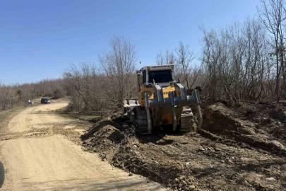 Sinop’a yeni orman nakliye güzergahı