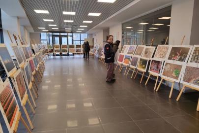 Sinop’ta "Tarım, Orman ve İnsan Sergisi" açıldı