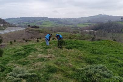Sinop’ta yükümlülerden geleceğe nefes