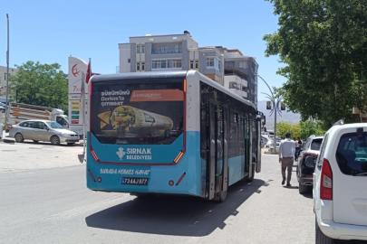 Şırnak’ta bayram boyunca şehir içi ulaşım ücretsiz olacak