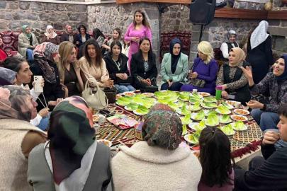 Siverek’te 8 Mart Dünya Kadınlar Günü, etkinlikle kutlandı