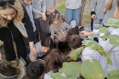 Söke’de Orman Haftası’nda fidanlar gelecek için toprakla buluştu