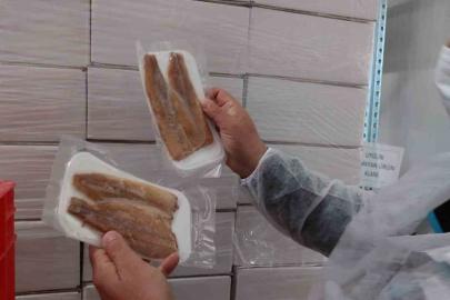 Su ürünleri üretimi yapılan tesislerde denetim