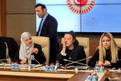 TBMM Suça Sürüklenen Çocuklara İlişkin Araştırma Komisyonu mağdur aileleri dinledi