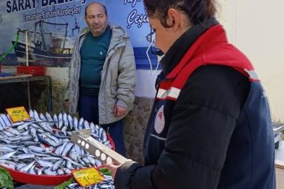 Tekirdağ’da su ürünleri denetimi aralıksız sürüyor