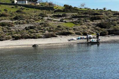 Tilkişen otu toplamaya gittiler, koyu temizlediler
