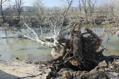 Tunca Nehri kıyısında toprak kayması: 9 yıl sonra gelen taşkınlar zemini etkiledi
