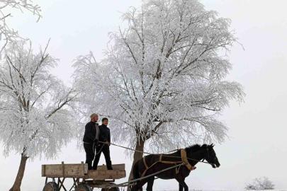 Türkiye’de en düşük sıcaklık eksi 20 dereceyle Bayburt’ta ölçüldü