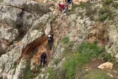 Uçurumdan düşen köpek 4 saatlik çalışmayla kurtarıldı