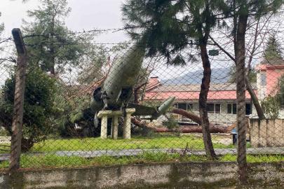 Üzerine ağaç düşen uçak zarar gördü