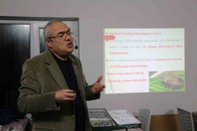 Uzmanı kahverengi kokarca için tarih verdi: "2030 yılından itibaren gündemden çıkmaya başlayacak"