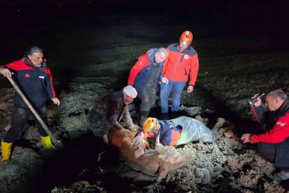 Yalova’da bataklıkta mahsur kalan vatandaş ve büyükbaş hayvanı kurtarıldı