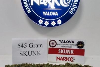 Yalova’da uyuşturucu operasyonları: 1 tutuklama