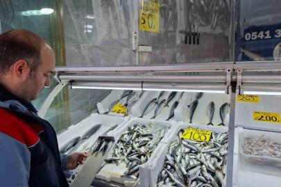 Yasak öncesi balık satış yerleri denetlendi