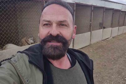 Yavru kangal gönlünü Sibirya kurduna kaptırdı