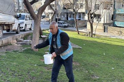 Yemyeşil Eyyübiye için hazırlıklar sürüyor