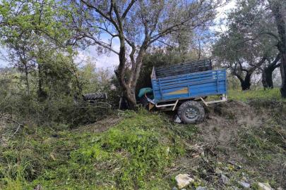 Zeytin bahçesine uçan patpatın sürücüsü öldü