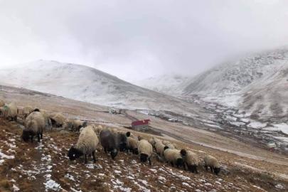 300 yıllık kullanıma müdahale tepki çekti