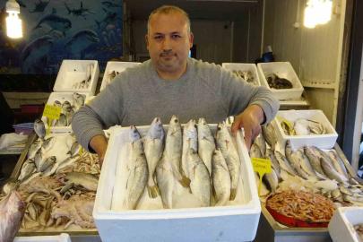 Akdeniz’de av yasağı başlıyor