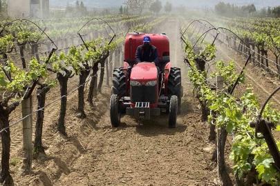 Alaşehir’de "3K Bağcılık" ile kalıntısız üretim başladı