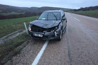 Ankara’da aracın çarptığı geyik telef oldu