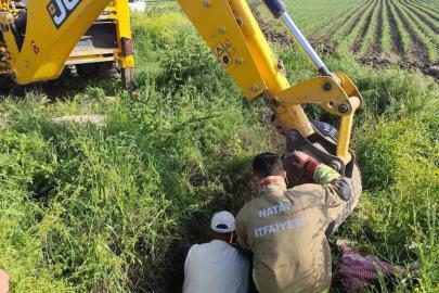 Antakya’da kuyuya düşen büyükbaş hayvan kurtarıldı