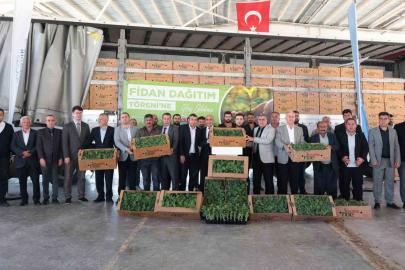 Arabanlı karpuz üreticisi çiftçilere yüzde 50 hibeli fide desteği