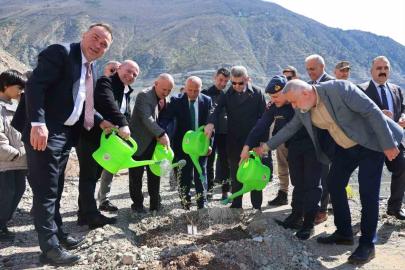 Artvin’de 450 Butko zeytini fidanı toprakla buluşturuldu