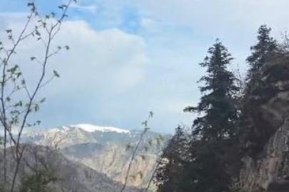 Artvin’de yaylada düşerek yaralanan vatandaş helikopterle kurtarıldı