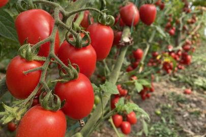 ATB mart ayı hal endeksini açıkladı