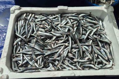 Av yasağı öncesi pazarda yoğunluk