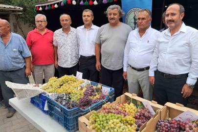 Avşar Üzümü coğrafi işaretle tescillendi