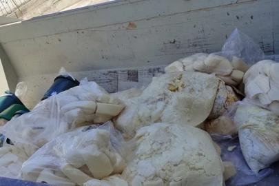 Aydın’da 11 ton süt ürünü imha edildi