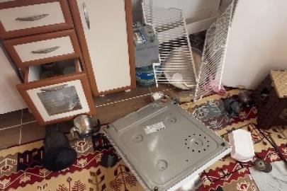 Ayılar Trabzon’da yaylalardan sonra mahallelere dadandı