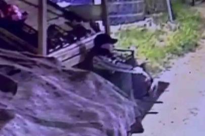 Başkasına ait beğendiği ayakkabıyı çalarken kameralara yakalanan suç makinesi tutuklandı