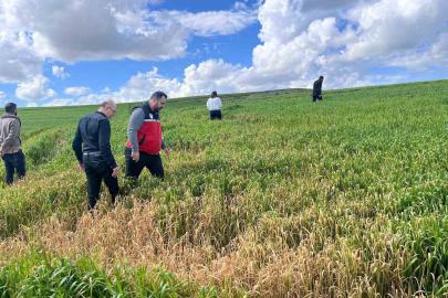 Batman’da çiftçilere ’yanlış ilaçlama’ uyarısı