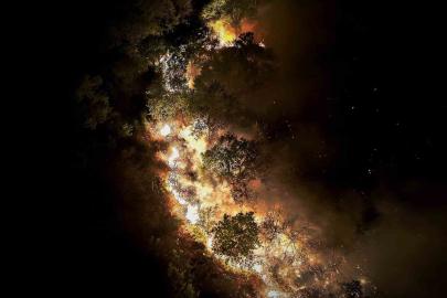 Beykoz’daki orman yangını 9 saatte kontrol alındı