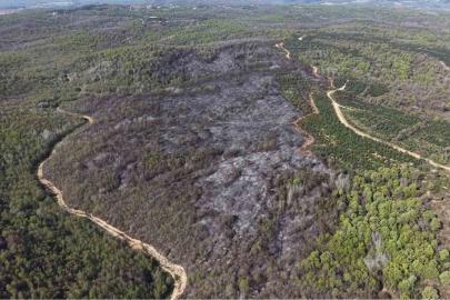 Beykoz’daki yangının bilançosu gün ağarınca ortaya çıktı