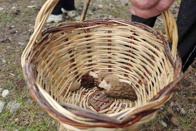 Beyşehir’de doğa tutkunları hem yürüyüş hem de kuzugöbeği için buluştu