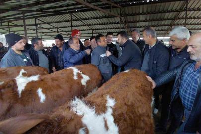 Bolu’da kurban pazarlarında hareketlilik başladı