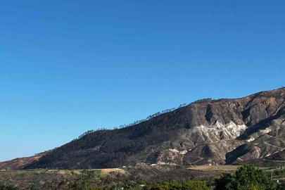 Buldan’da 5 gün süren yangının izleri dağlarda kaldı