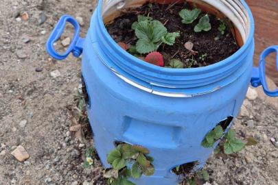 Buldanlı üreticiler atık malzemeleri tarımda değerlendiriyor